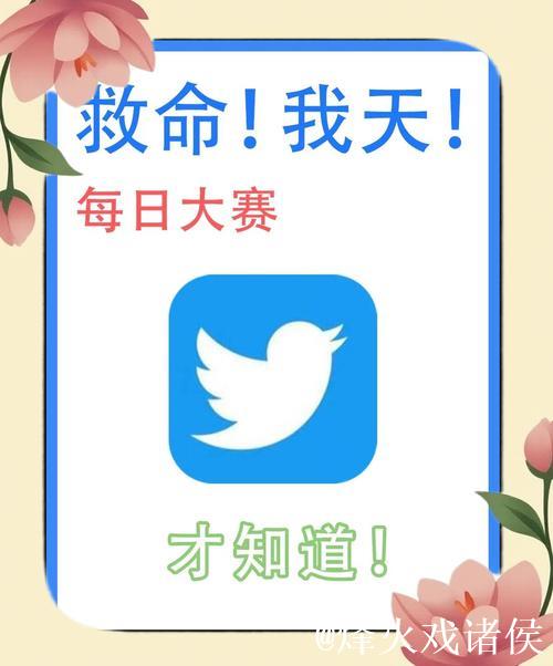 每日大赛官方入口在哪里找到？