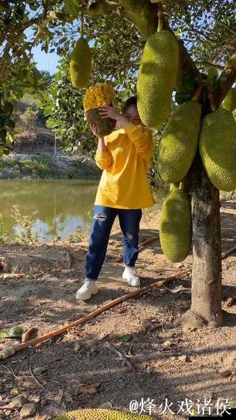 畅享菠萝蜜在线视频的无限精彩体验